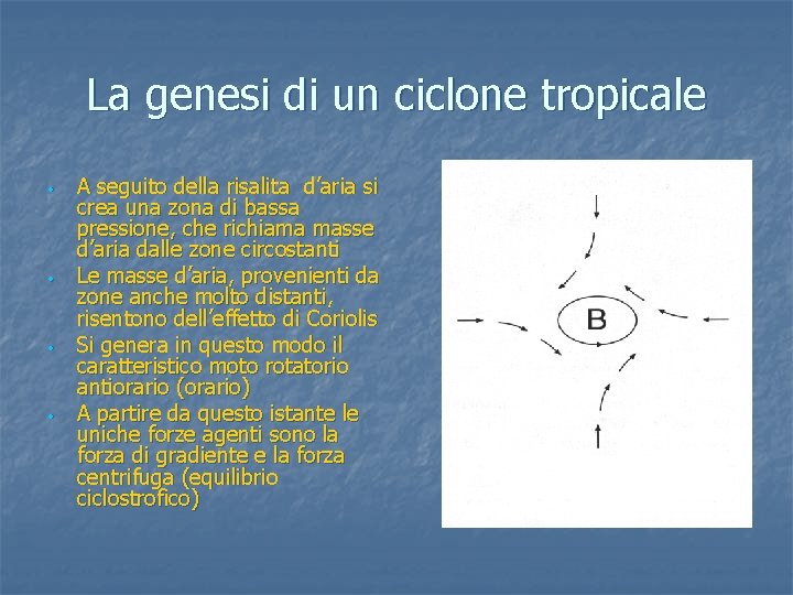 La genesi di un ciclone tropicale • • A seguito della risalita d’aria si