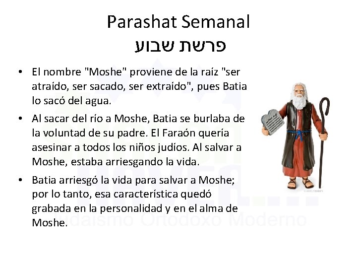 Parashat Semanal שבוע פרשת • El nombre "Moshe" proviene de la raíz "ser atraído,