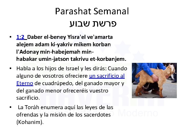 Parashat Semanal שבוע פרשת • 1: 2 Daber el-beney Yisra'el ve'amarta alejem adam ki-yakriv