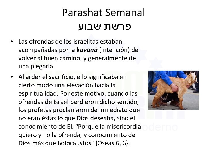 Parashat Semanal שבוע פרשת • Las ofrendas de los israelitas estaban acompañadas por la