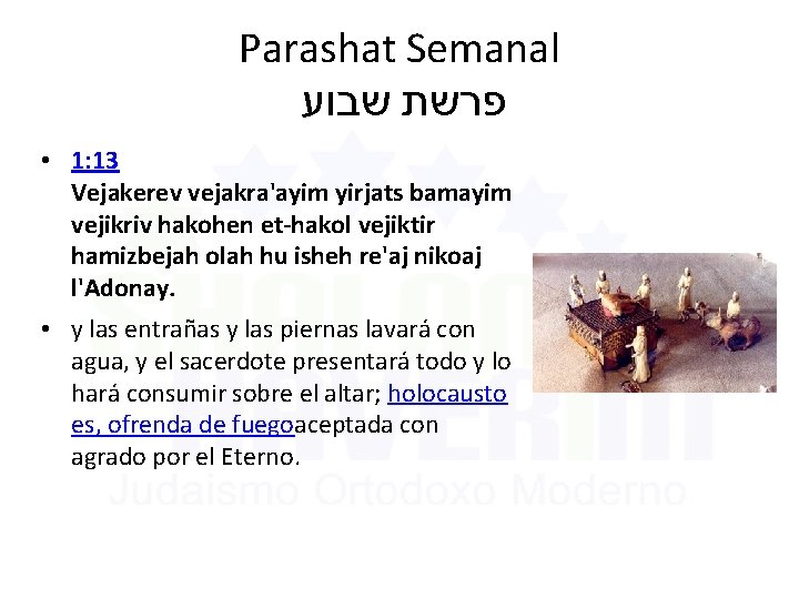 Parashat Semanal שבוע פרשת • 1: 13 Vejakerev vejakra'ayim yirjats bamayim vejikriv hakohen et-hakol