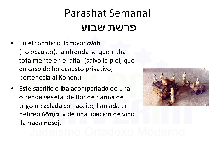 Parashat Semanal שבוע פרשת • En el sacrificio llamado oláh (holocausto), la ofrenda se