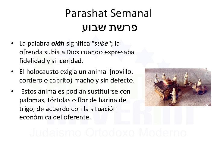 Parashat Semanal שבוע פרשת • La palabra oláh significa "sube"; la ofrenda subía a