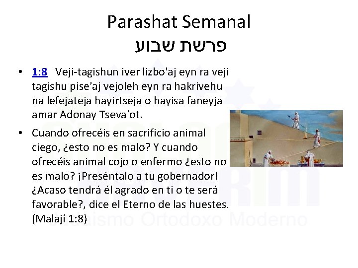 Parashat Semanal שבוע פרשת • 1: 8 Veji-tagishun iver lizbo'aj eyn ra veji tagishu