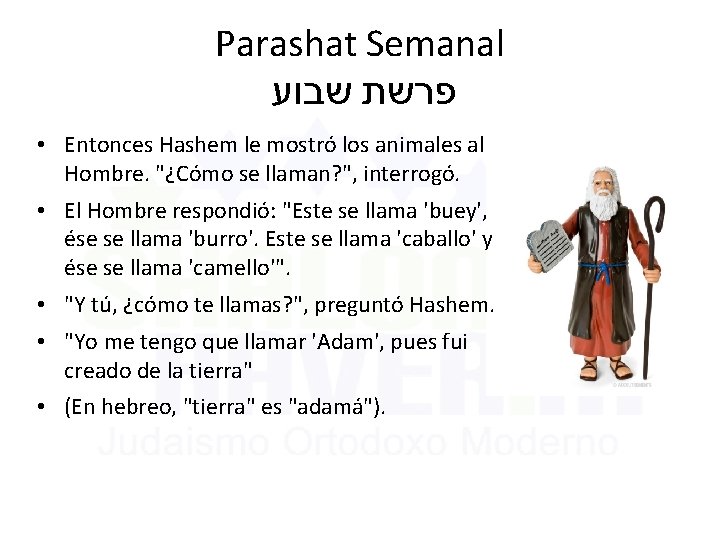 Parashat Semanal שבוע פרשת • Entonces Hashem le mostró los animales al Hombre. "¿Cómo