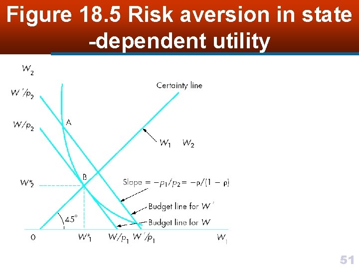 Figure 18. 5 Risk aversion in state -dependent utility 51 