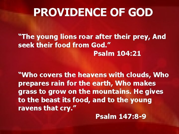 PROVIDENCE OF GOD “The young lions roar after their prey, And seek their food