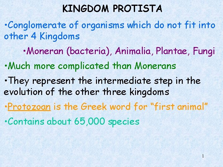 KINGDOM PROTISTA • Conglomerate of organisms which do not fit into other 4 Kingdoms