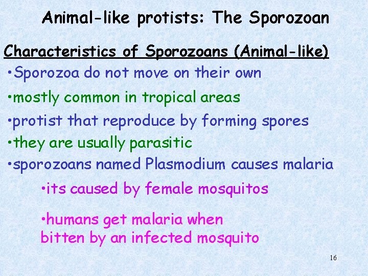 Animal-like protists: The Sporozoan Characteristics of Sporozoans (Animal-like) • Sporozoa do not move on