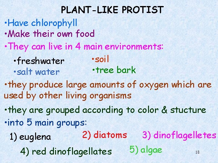 PLANT-LIKE PROTIST • Have chlorophyll • Make their own food • They can live