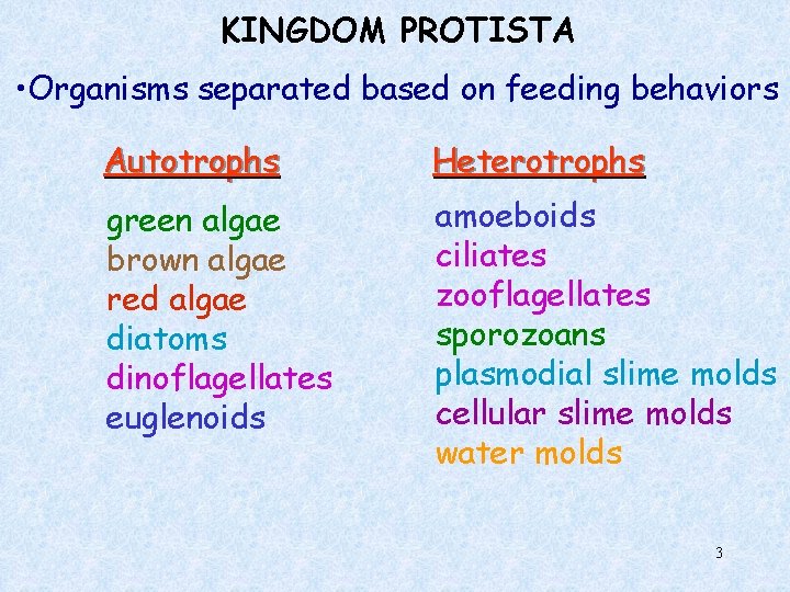 KINGDOM PROTISTA • Organisms separated based on feeding behaviors Autotrophs Heterotrophs green algae brown