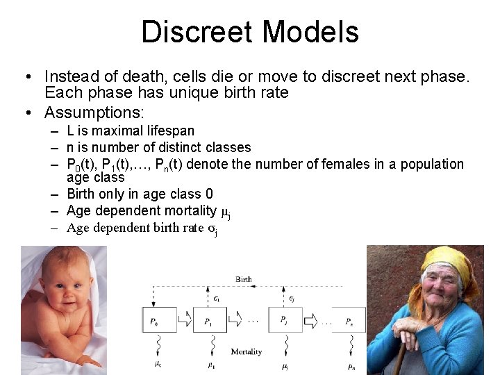 Discreet Models • Instead of death, cells die or move to discreet next phase.