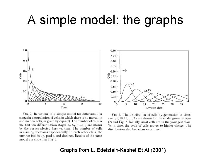 A simple model: the graphs Graphs from L. Edelstein-Keshet Et Al. (2001) 