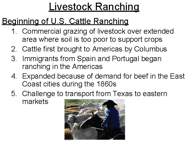 Livestock Ranching Beginning of U. S. Cattle Ranching 1. Commercial grazing of livestock over Livestock Ranching Beginning of U. S. Cattle Ranching 1. Commercial grazing of livestock over