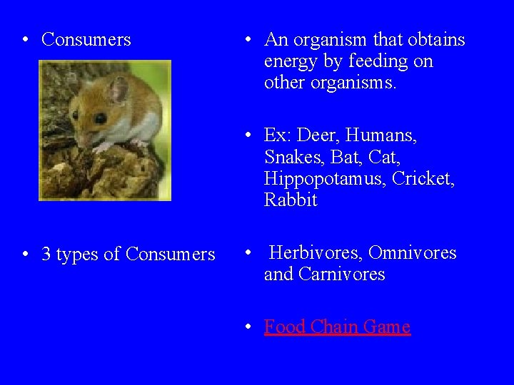  • Consumers • An organism that obtains energy by feeding on other organisms.