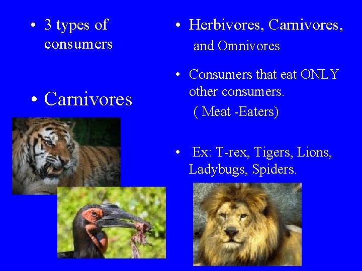  • 3 types of consumers • Carnivores • Herbivores, Carnivores, and Omnivores •