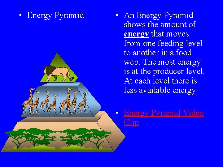  • Energy Pyramid • An Energy Pyramid shows the amount of energy that