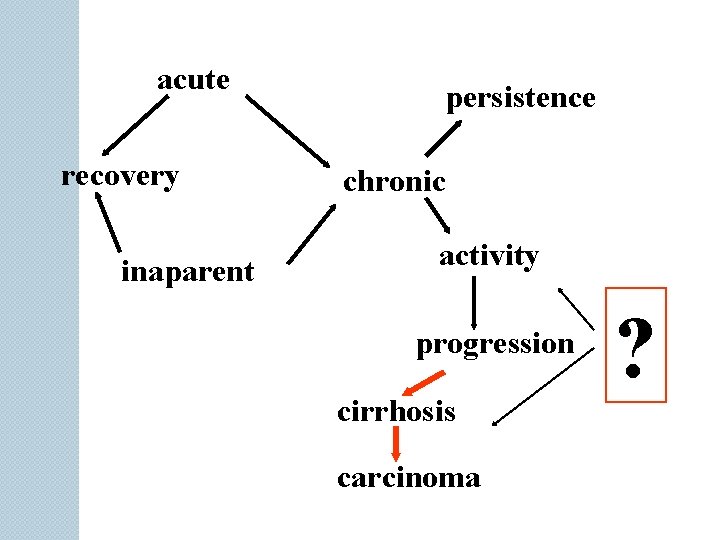 acute recovery inaparent persistence chronic activity progression cirrhosis carcinoma ? 