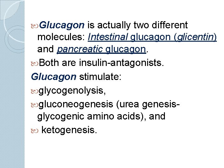  Glucagon is actually two different molecules: Intestinal glucagon (glicentin) and pancreatic glucagon. Both