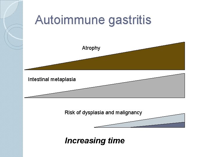 Autoimmune gastritis Atrophy Intestinal metaplasia Risk of dysplasia and malignancy Increasing time 