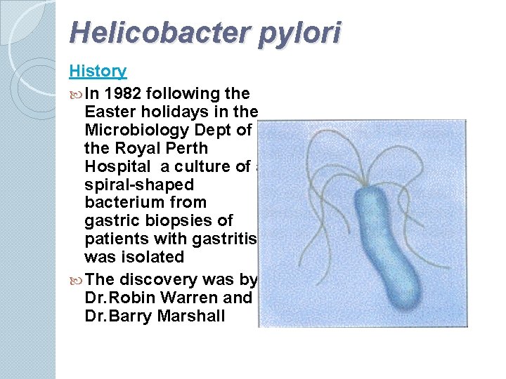 Helicobacter pylori History In 1982 following the Easter holidays in the Microbiology Dept of