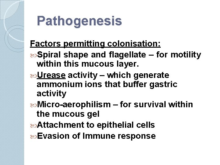 Pathogenesis Factors permitting colonisation: Spiral shape and flagellate – for motility within this mucous