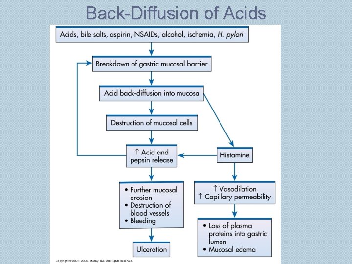 Back-Diffusion of Acids 