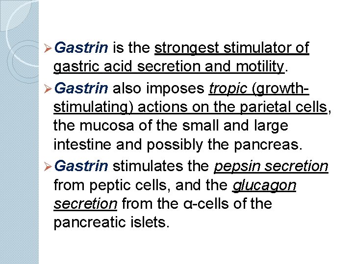 Ø Gastrin is the strongest stimulator of gastric acid secretion and motility. Ø Gastrin