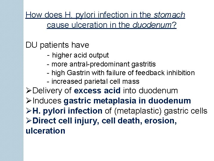 How does H. pylori infection in the stomach cause ulceration in the duodenum? DU