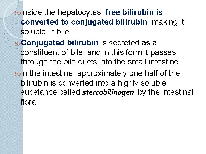  Inside the hepatocytes, free bilirubin is converted to conjugated bilirubin, making it soluble