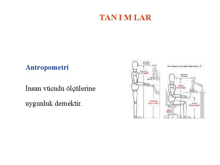 TAN I M LAR Antropometri İnsan vücudu ölçülerine uygunluk demektir. 