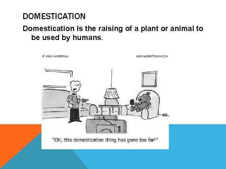 DOMESTICATION Domestication is the raising of a plant or animal to be used by