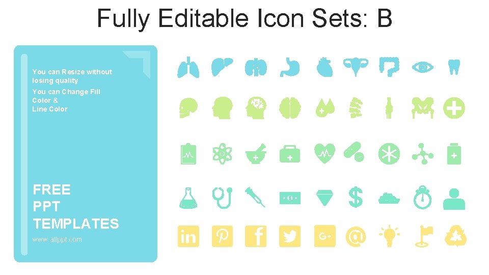Fully Editable Icon Sets: B You can Resize without losing quality You can Change