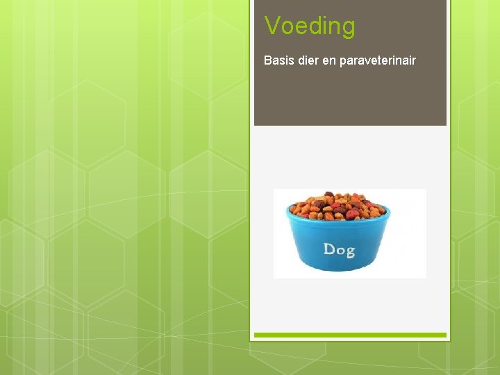 Voeding Basis dier en paraveterinair 