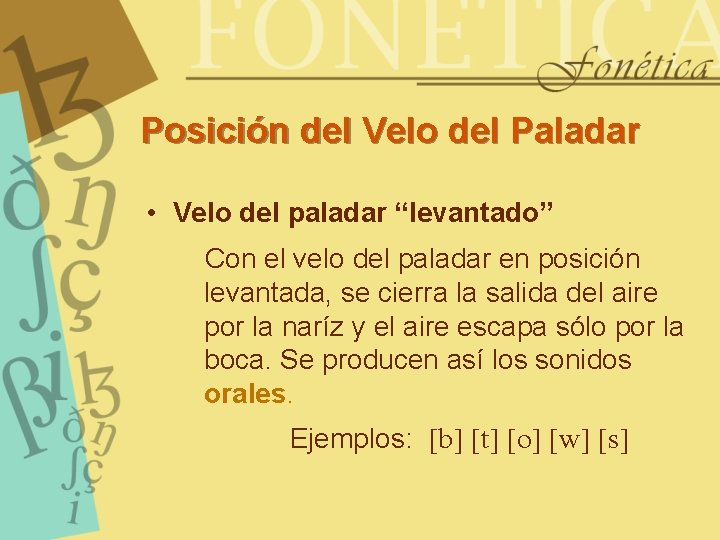 Posición del Velo del Paladar • Velo del paladar “levantado” Con el velo del