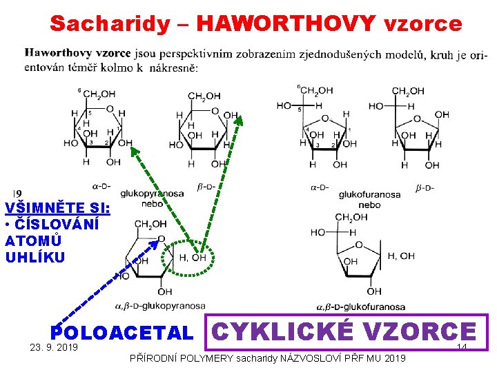 Sacharidy – HAWORTHOVY vzorce VŠIMNĚTE SI: • ČÍSLOVÁNÍ ATOMŮ UHLÍKU POLOACETAL 23. 9. 2019