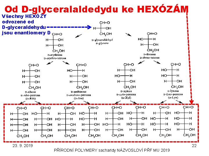 Od D-glyceralaldedydu ke HEXÓZÁM Všechny HEXÓZY odvozené od D-glyceraldehydu jsou enantiomery D 23. 9.