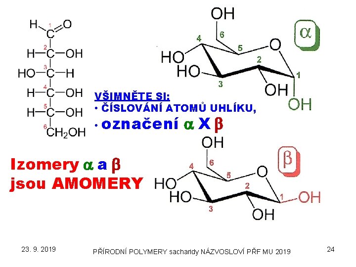 VŠIMNĚTE SI: • ČÍSLOVÁNÍ ATOMŮ UHLÍKU, • označení a X b Izomery a a