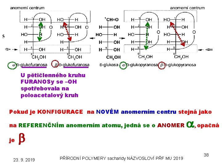 U pětičlenného kruhu FURANOSy se –OH spotřebovala na poloacetalový kruh Pokud je KONFIGURACE na