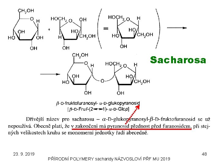 Sacharosa 23. 9. 2019 48 PŘÍRODNÍ POLYMERY sacharidy NÁZVOSLOVÍ PŘF MU 2019 