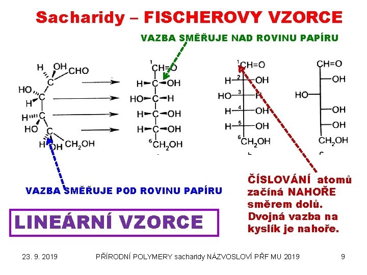 Sacharidy – FISCHEROVY VZORCE VAZBA SMĚŘUJE NAD ROVINU PAPÍRU VAZBA SMĚŘUJE POD ROVINU PAPÍRU