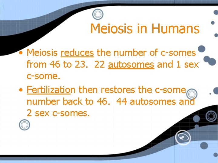 Meiosis in Humans • Meiosis reduces the number of c-somes from 46 to 23.