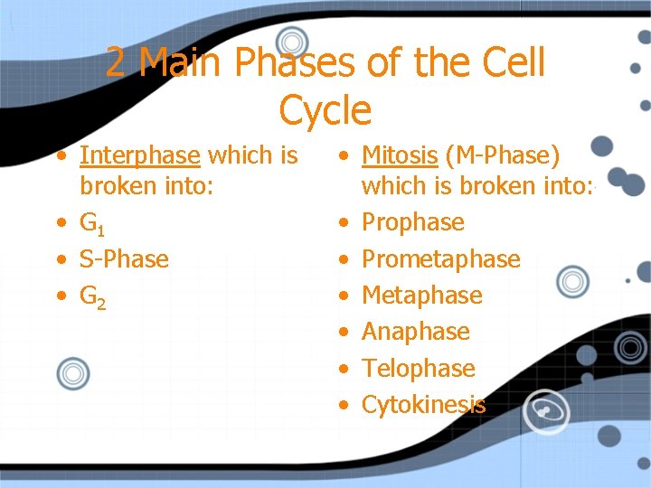 2 Main Phases of the Cell Cycle • Interphase which is broken into: •