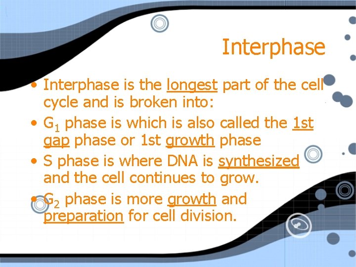 Interphase • Interphase is the longest part of the cell cycle and is broken