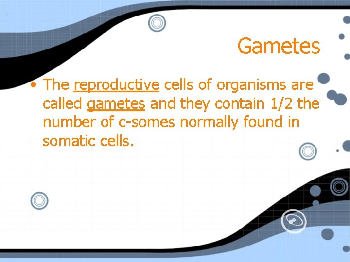 Gametes • The reproductive cells of organisms are called gametes and they contain 1/2