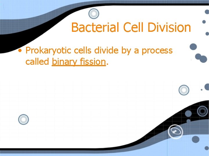 Bacterial Cell Division • Prokaryotic cells divide by a process called binary fission. 