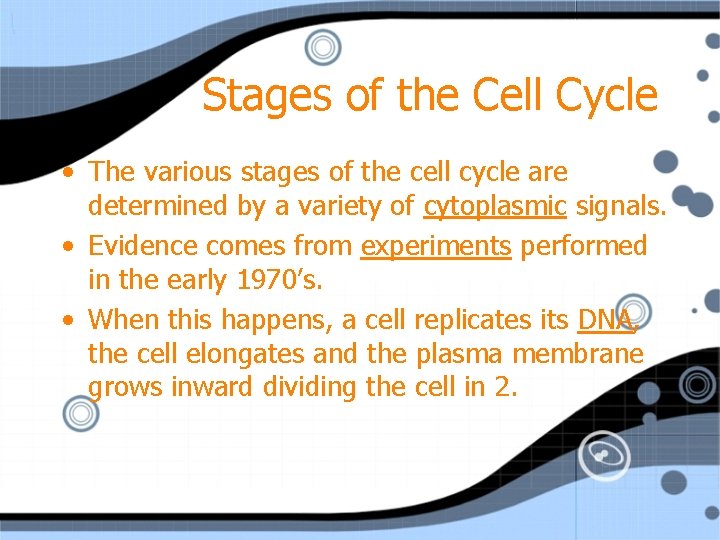 Stages of the Cell Cycle • The various stages of the cell cycle are