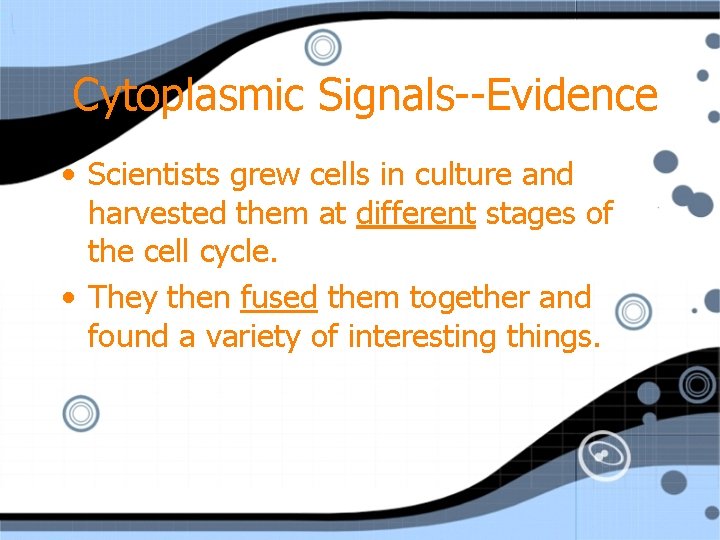 Cytoplasmic Signals--Evidence • Scientists grew cells in culture and harvested them at different stages