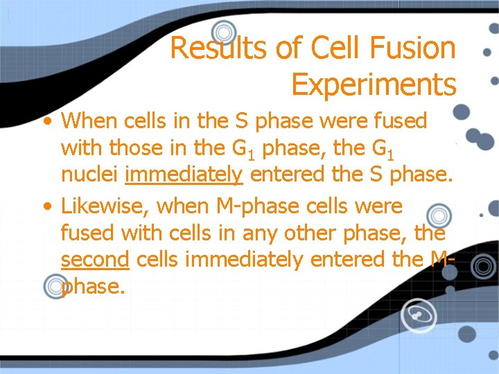 Results of Cell Fusion Experiments • When cells in the S phase were fused