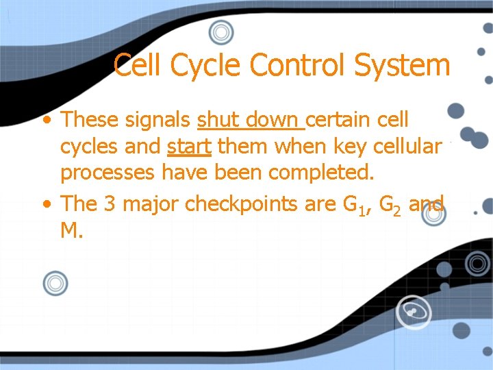 Cell Cycle Control System • These signals shut down certain cell cycles and start